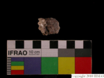 V23d4211 A16q796.98 U904 dM uc f301 ORIGINALLY in error q796.2 from Lo Res.jpg